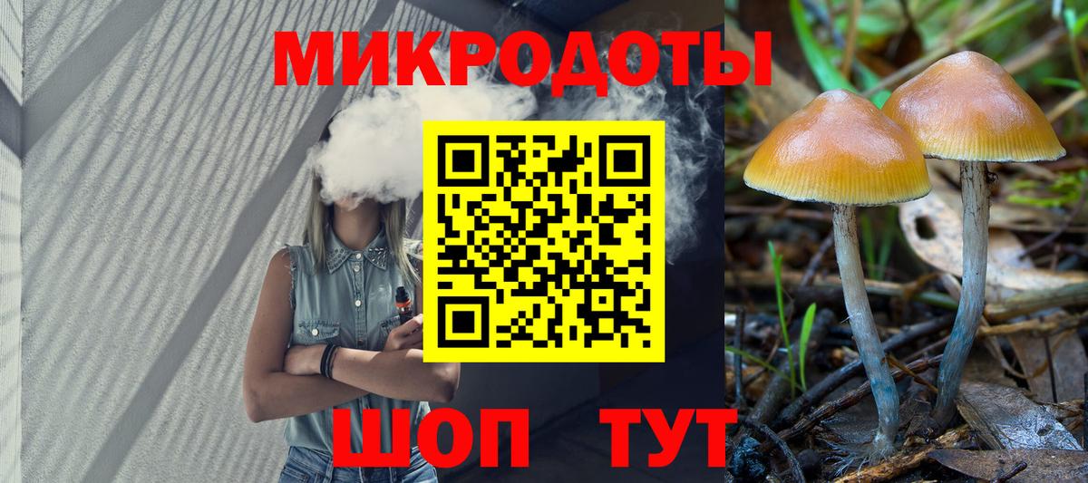Галлюциногенные грибы Psilocybe  закладка  Ульяновск  Вход с VPN 