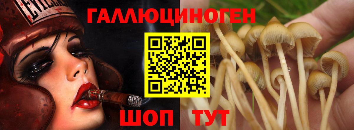 Псилоцибиновые грибы мицелий Ульяновск